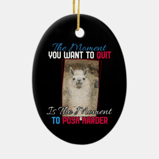 Alpaca Llama – より強くプッシュ勇気付けられる セラミックオーナメント (裏面)