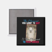 Alpaca Llama – より強くプッシュ勇気付けられる マグネット (正面/裏面)