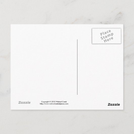 Alpaca Postcards ポストカード (裏面)