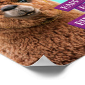 Alpaca Wearing Party Hats ポスター (角)