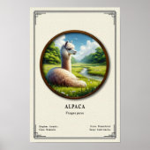 Alpaca Zoology Series ポスター (正面)