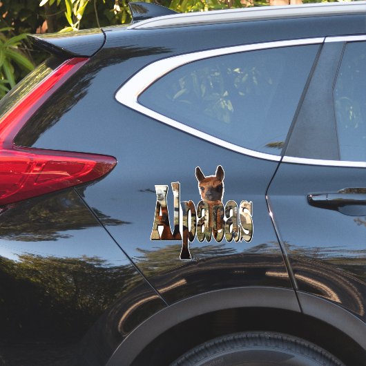 Alpacasという名前：アルパカの名前とアルパカの名前 シール (車体側面)