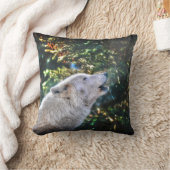 Alpha Male Gray Wolf Wildlife写真 クッション (ブランケット)