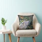 Alpha Male Gray Wolf Wildlife写真 クッション (椅子)