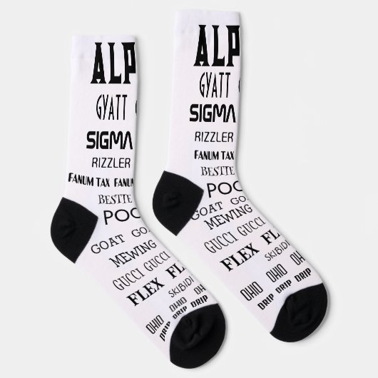 ALPHA RIZZ SIGMA GYATT FLEX SOCKS ソックス (右)