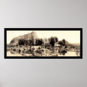 Alpheus Creek ID写真1913 ポスター (正面)