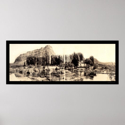 Alpheus Creek ID写真1913 ポスター (正面)