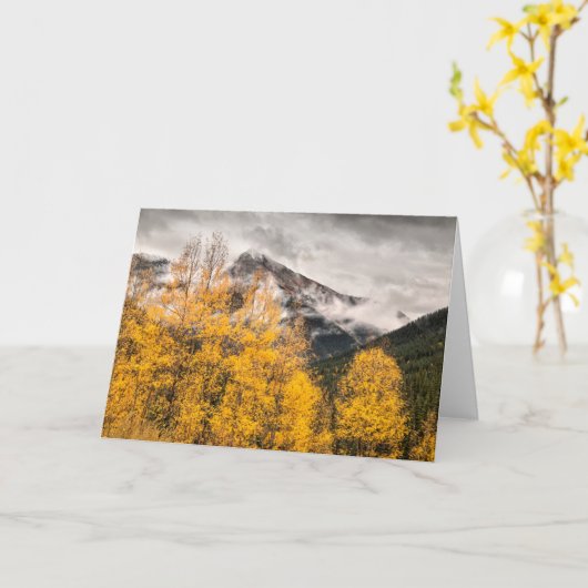 Alpine Loop | Silverton, Colorado カード (黄色い花)