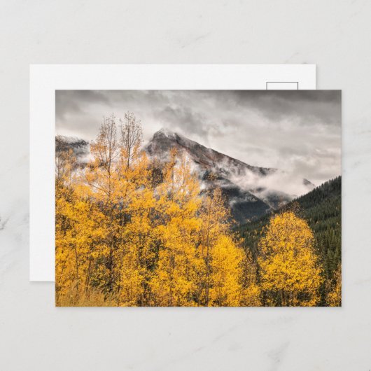 Alpine Loop | Silverton, Colorado ポストカード (正面/裏面)