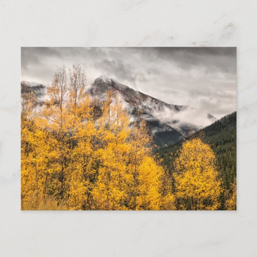 Alpine Loop | Silverton, Colorado ポストカード (正面)