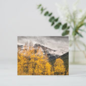 Alpine Loop | Silverton, Colorado ポストカード (スタンド正面)