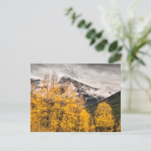 Alpine Loop | Silverton, Colorado ポストカード (スタンド正面)