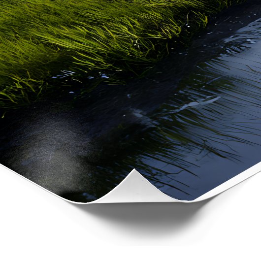 Alpine Valley Stream Green Meadows Snowy Peaks ポスター (コーナー)