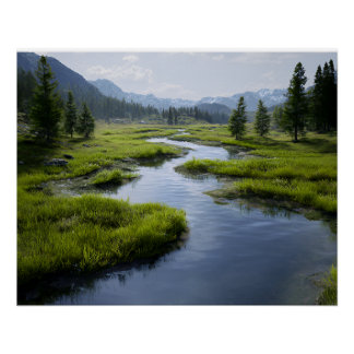 Alpine Valley Stream Green Meadows Snowy Peaks ポスター