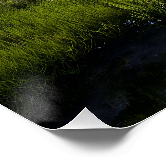 Alpine Valley Stream Green Meadows Snowy Peaks ポスター (コーナー)