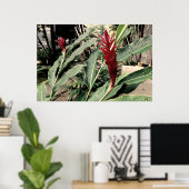 Alpínia purpurata ポスター (ホームオフィス)