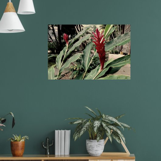 Alpínia purpurata ポスター (リビング1)