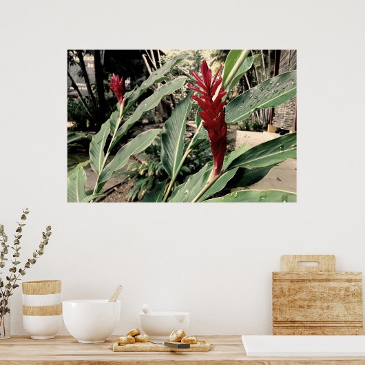 Alpínia purpurata ポスター (キッチン)