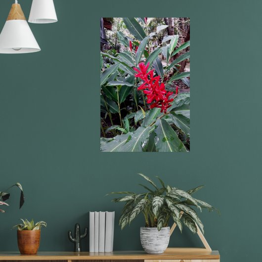 Alpínia purpurata 1 ポスター (リビング1)