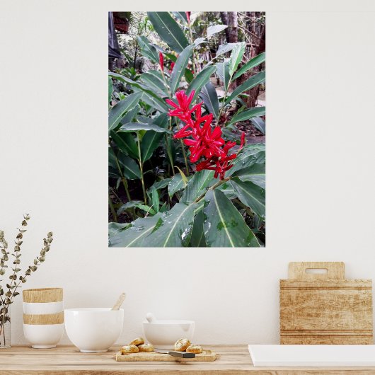 Alpínia purpurata 1 ポスター (キッチン)