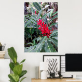 Alpínia purpurata 1 ポスター (ホームオフィス)