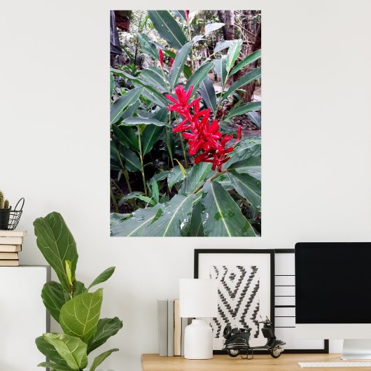Alpínia purpurata 1 ポスター (ホームオフィス)