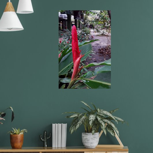 Alpínia purpurata 2 ポスター (リビング1)