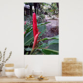 Alpínia purpurata 2 ポスター (キッチン)