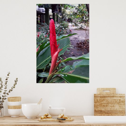 Alpínia purpurata 2 ポスター (キッチン)