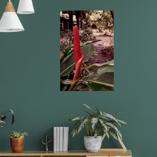 Alpínia purpurata 3 ポスター (リビング1)