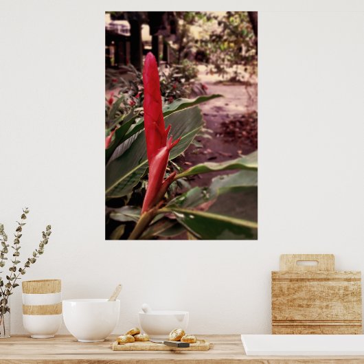 Alpínia purpurata 3 ポスター (キッチン)