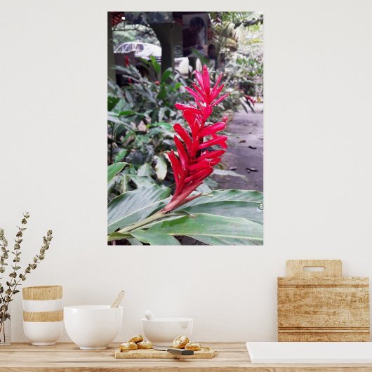 Alpínia purpurata 4 ポスター (キッチン)