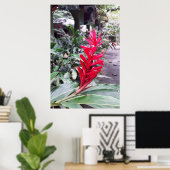 Alpínia purpurata 4 ポスター (ホームオフィス)