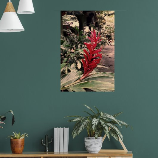 Alpínia purpurata 5 ポスター (リビング1)