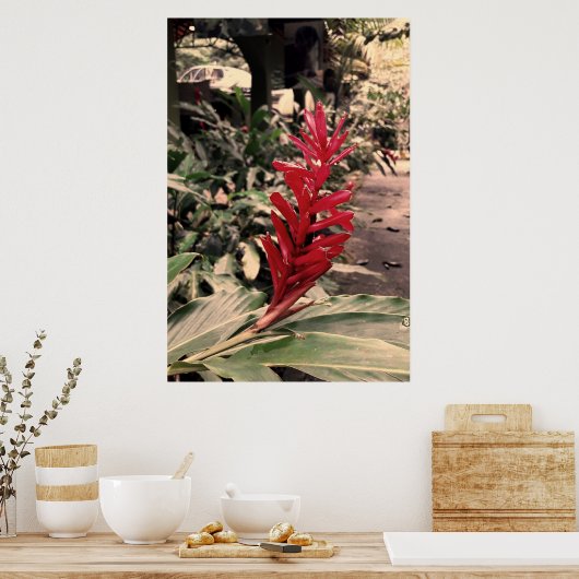 Alpínia purpurata 5 ポスター (キッチン)