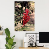 Alpínia purpurata 5 ポスター (ホームオフィス)