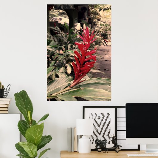 Alpínia purpurata 5 ポスター (ホームオフィス)