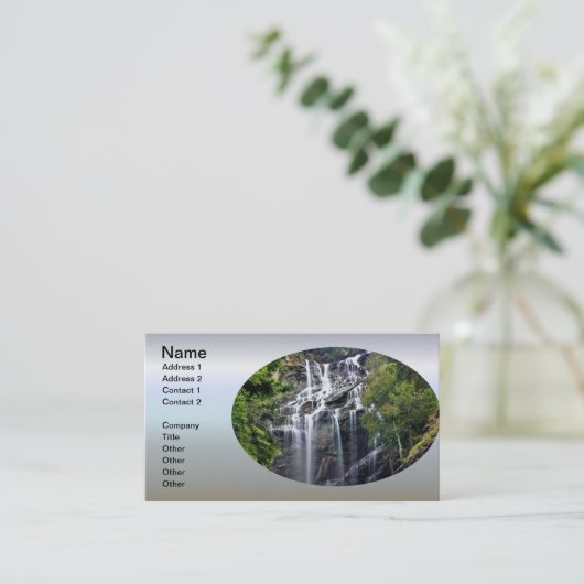 Alps Mountain Top Waterfall 名刺 (スタンド正面)