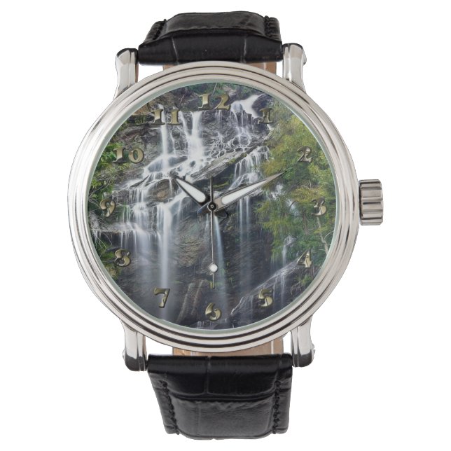 Alps Mountain Top Waterfall 腕時計 (正面)