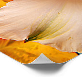 Alstroemeria Flowersポスター/プリント ポスター (角)