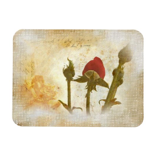 Alte Rose マグネット (横)