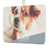 Always and Forever Pet記念モダン写真 カーエアーフレッシュナー (左)