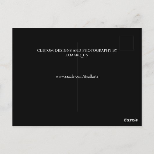 ALWAYS ELEGANT #11 ポストカード (裏面)