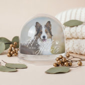 Always In Our Hearts Pet Photo Memorial Keepsake