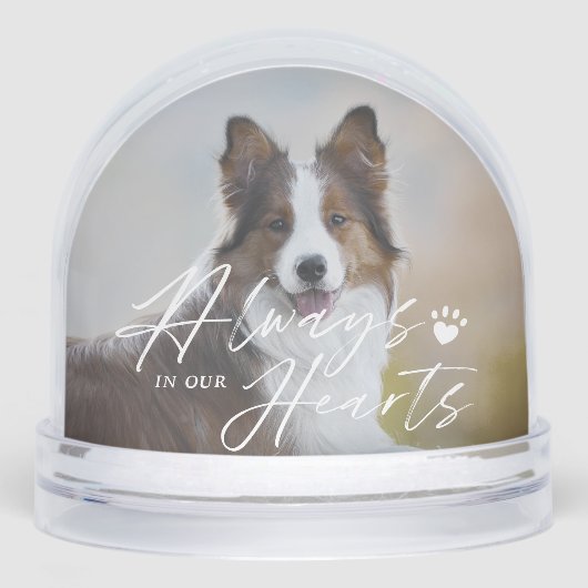 Always In Our Hearts Pet Photo Memorial Keepsake (正面)