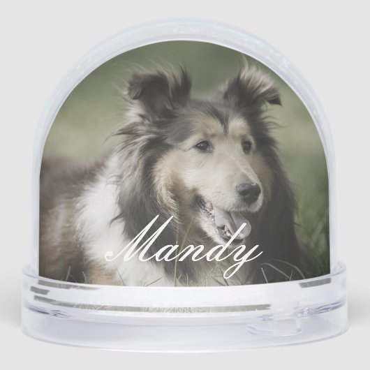 Always In Our Hearts Pet Photo Memorial Keepsake (裏面)