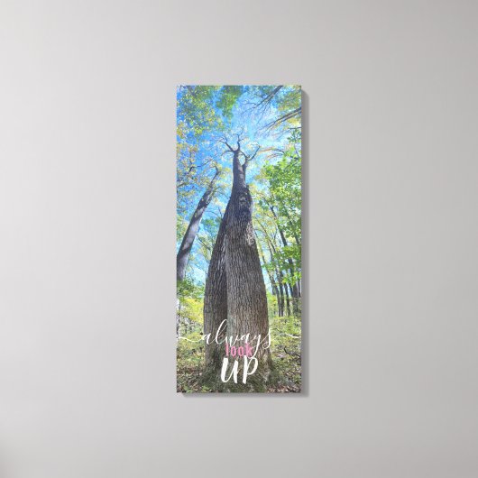 Always Look Up秋の空とキャンバス葉の印刷 キャンバスプリント (正面)