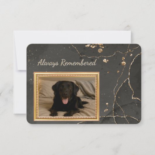 Always Remembered Pet Loss Photo Sympathy Card (正面)