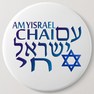 AMイスラエル共和国シェ 缶バッジ