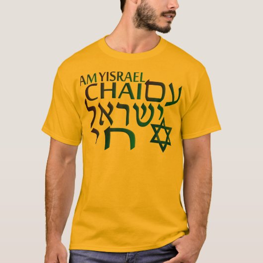 AMイスラエル共和国シェ Tシャツ (正面)